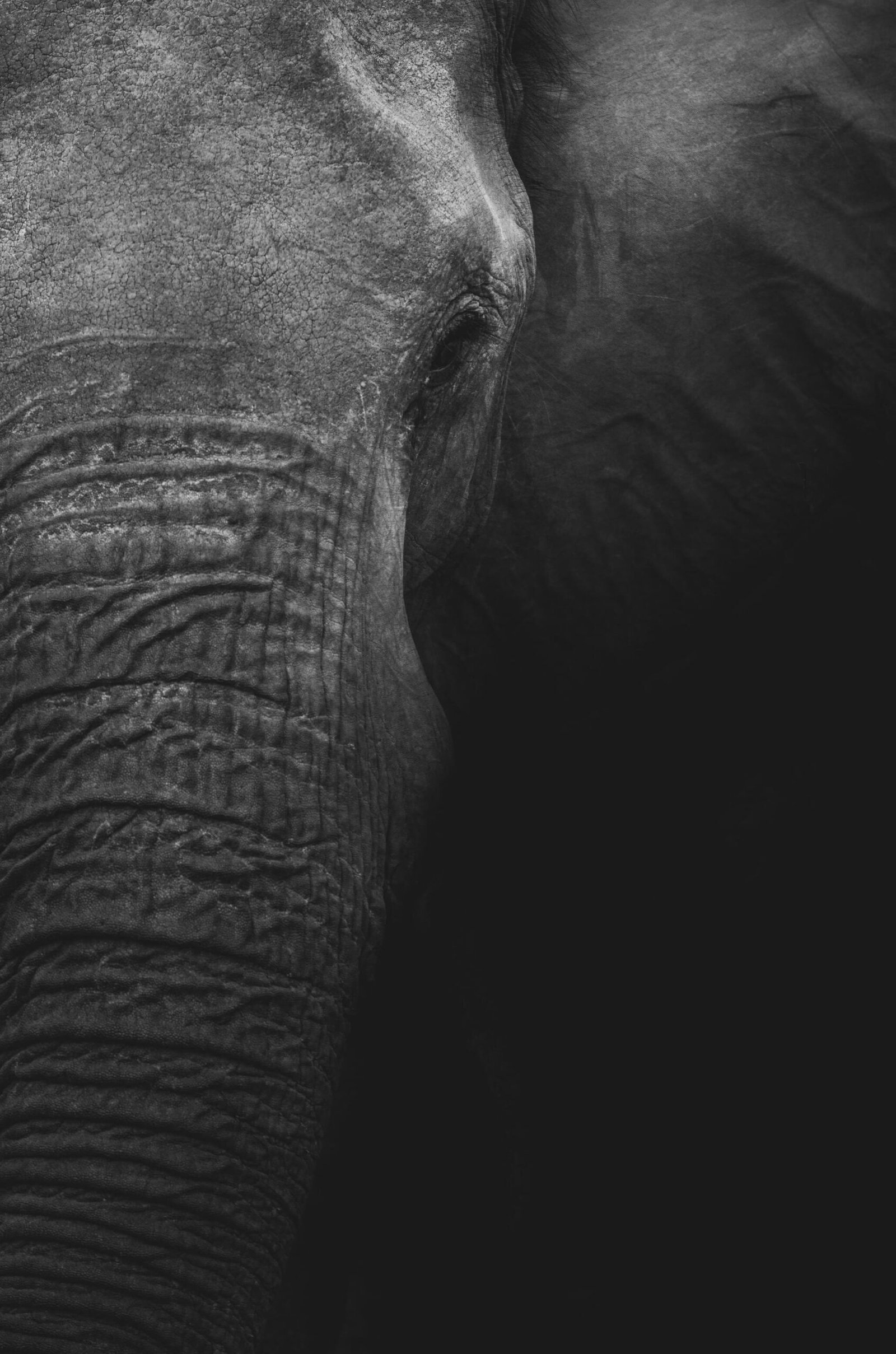 geranimo-FhbyES4BjG8-unsplash