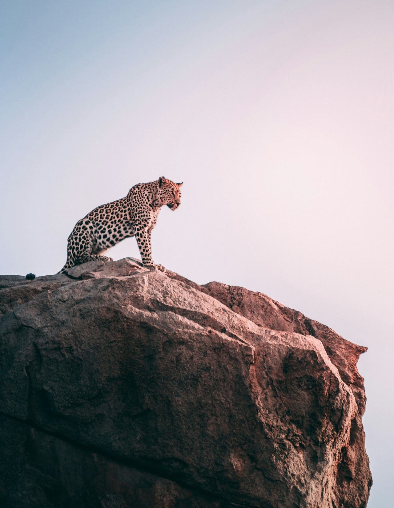 geranimo-wYy3rvvgjAU-unsplash