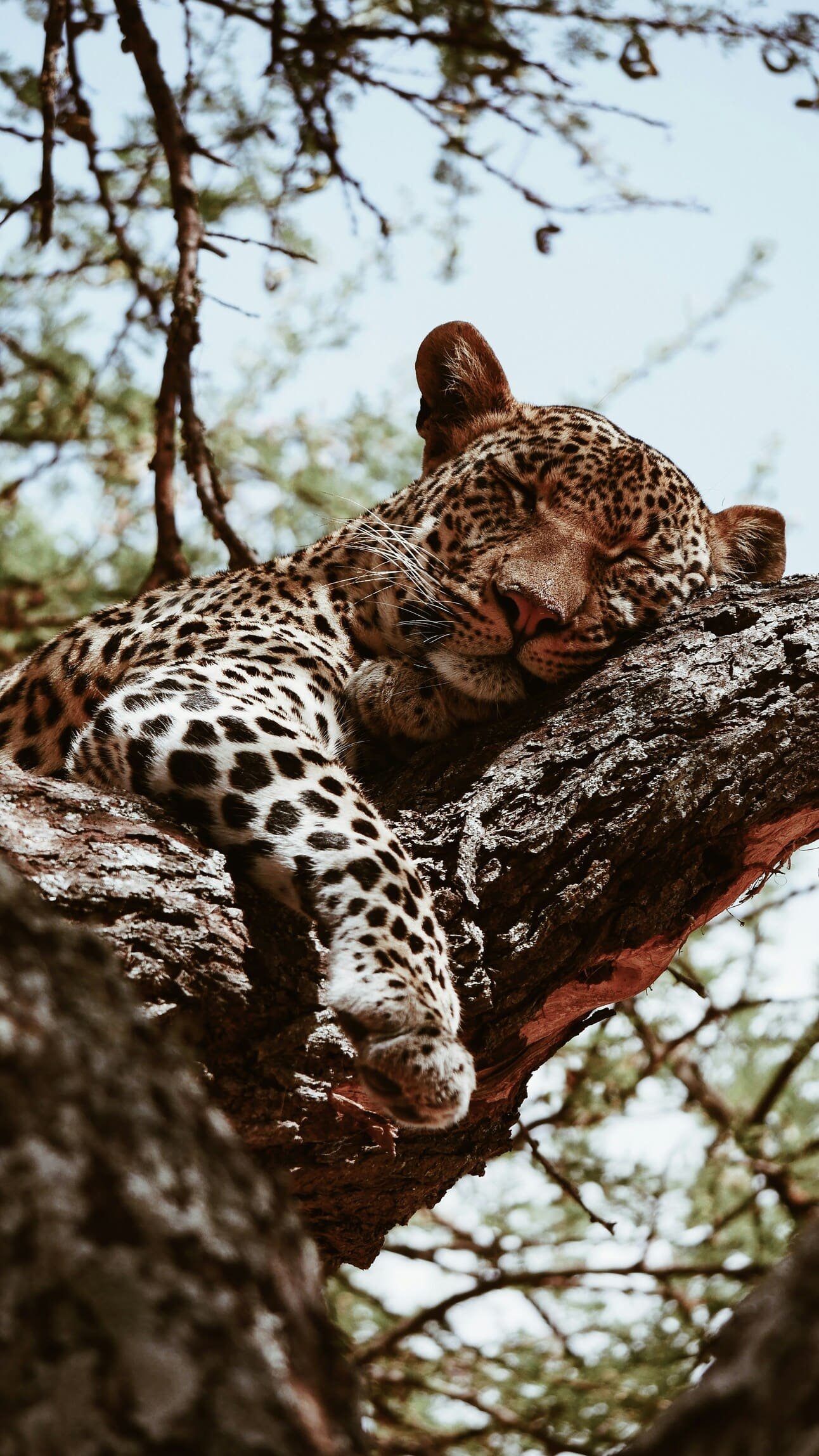 maurits-bausenhart-42Ocfqp4FAY-unsplash