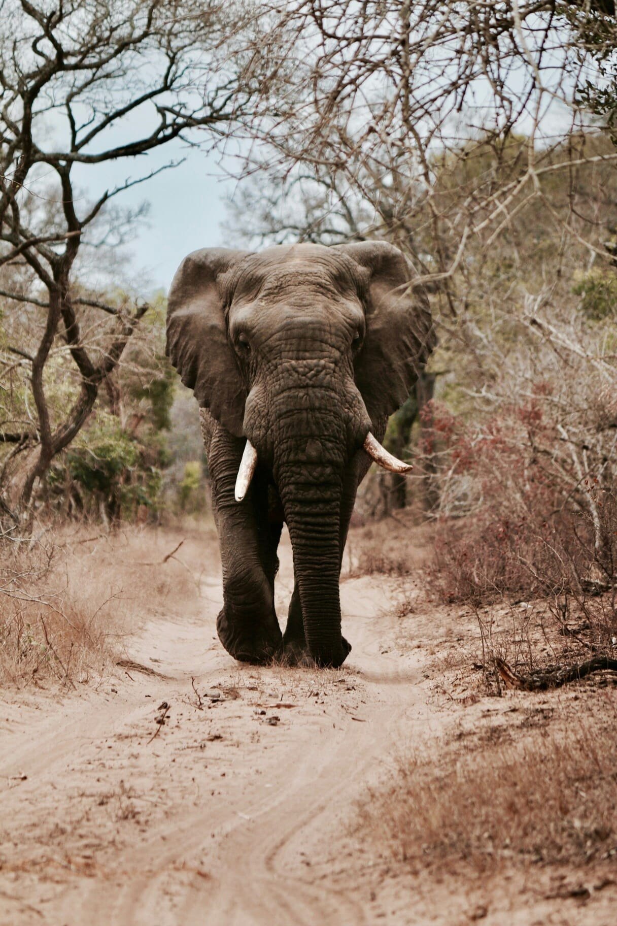 will-shirley-xRKcHoCOA4Y-unsplash